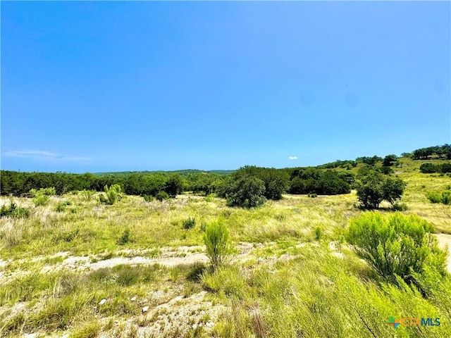 833 Bell Canyon Way, Bulverde, TX 78163 - photo 2