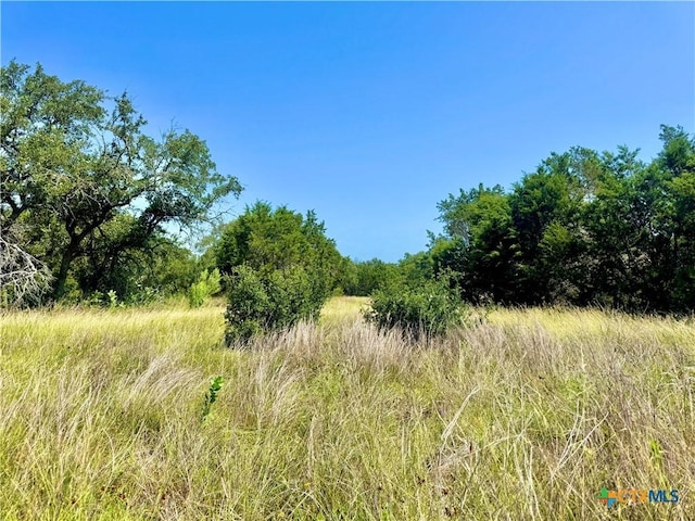 833 Bell Canyon Way, Bulverde, TX 78163 - photo 11