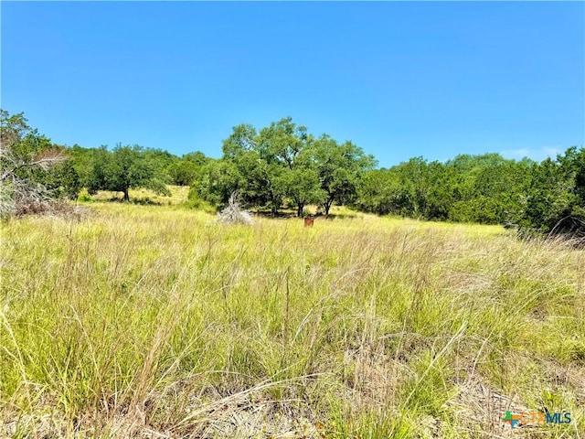 833 Bell Canyon Way, Bulverde, TX 78163 - photo 7