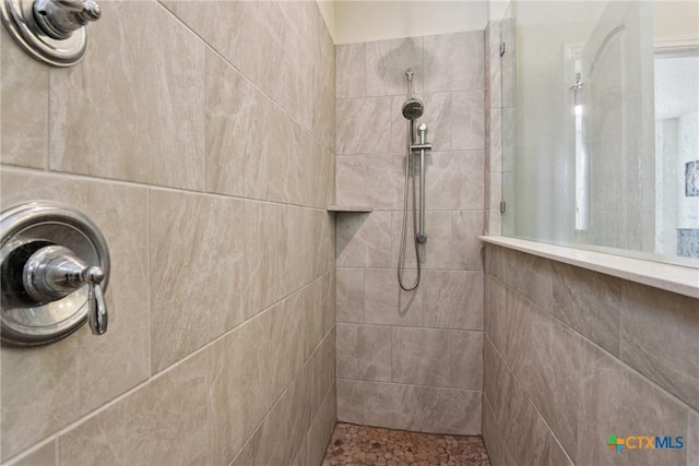 4032 Wild Bloom Rd, Seguin, TX 78155 - full bathroom with a tile shower