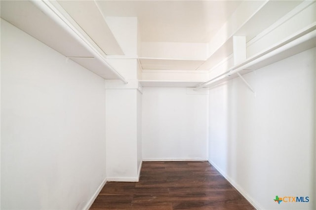 spacious closet with dark wood-type flooring