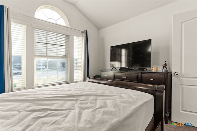 bedroom with lofted ceiling