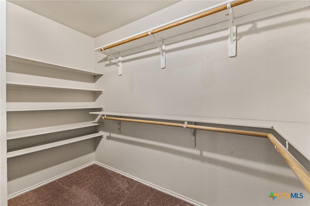 2003 Schottische Ln, Killeen, TX 76542 - spacious closet with dark colored carpet