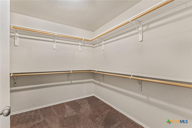 2003 Schottische Ln, Killeen, TX 76542 - walk in closet with carpet