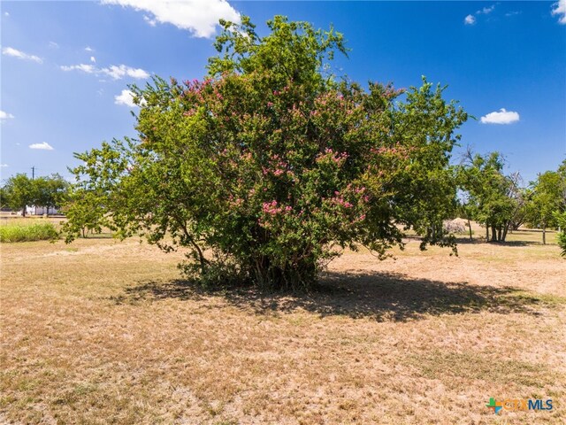 1195 Kenney Dr, Copperas Cove, TX 76522