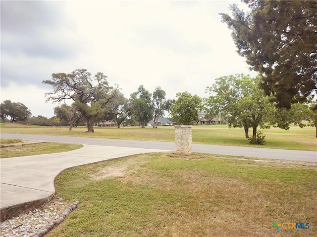 127 Augusta Dr, Wimberley, TX 78676 - surrounding community with a yard and curved driveway