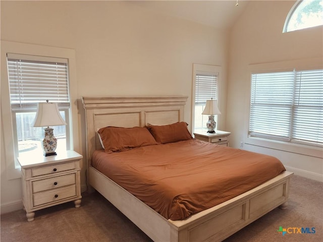 127 Augusta Dr, Wimberley, TX 78676 - bedroom featuring carpet flooring, lofted ceiling, and baseboards