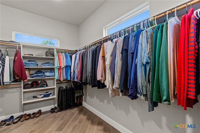 spacious closet featuring wood-type flooring