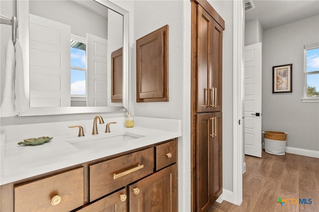 bathroom with wood-type flooring and vanity