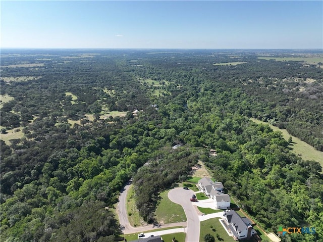 6013 Hamlet Dr, Belton TX, 76513 land for sale