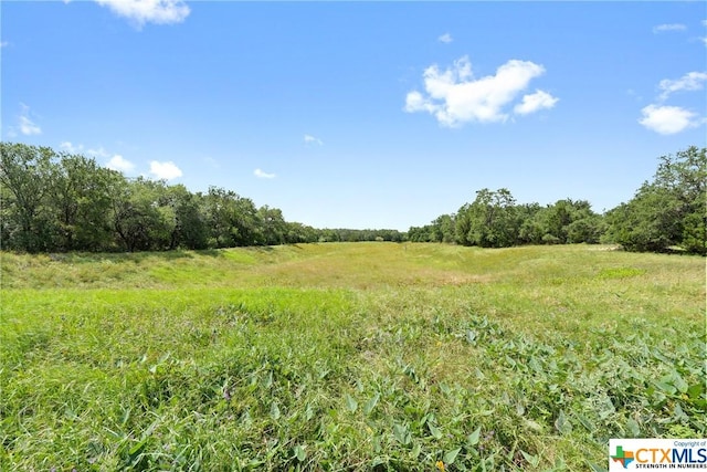 445 Champions Dr, Georgetown, TX 78628 - view of wooded area with a view of rural / pastoral area