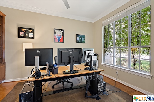 office area featuring ornamental molding, a wealth of natural light, baseboards, and wood finished floors