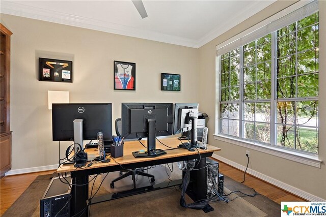 445 Champions Dr, Georgetown, TX 78628 - office space featuring wood finished floors, baseboards, plenty of natural light, and crown molding