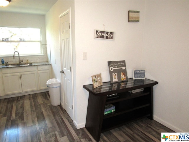 interior space featuring dark hardwood / wood-style floors, white cabinetry, and sink