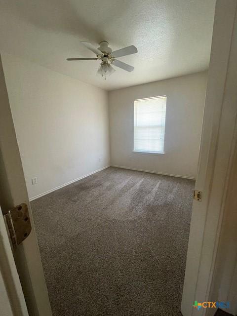 4413 Abigail Dr, Killeen, TX 76549 - photo 16