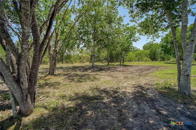 1319 County Road 339, Shiner, TX 77984 - view of nature