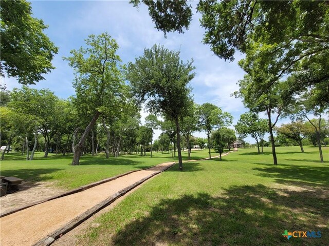 564 Cypress Valley Rd, Cuero, TX 77954 - photo 43