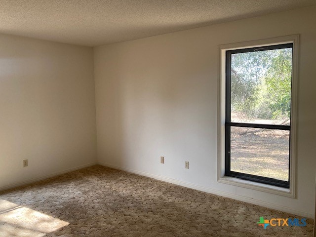 spare room with carpet floors and a textured ceiling