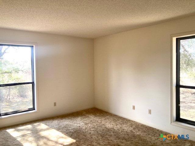 carpeted spare room featuring a wealth of natural light and a textured ceiling