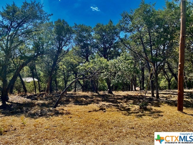 0 Rockwood, Wimberley TX, 78676 land for sale