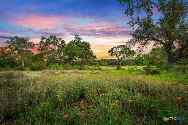 Listing photo 3 for 3003 Pursley Rd, Dripping Springs TX 78620