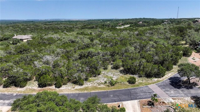 7906 Black Buck, San Antonio, TX 78266 - photo 6
