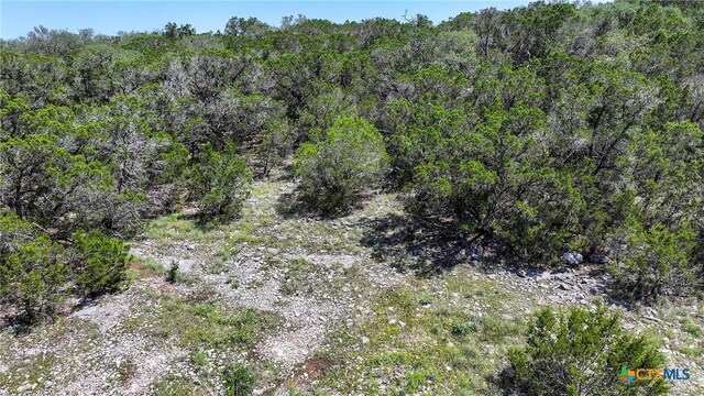 7906 Black Buck, San Antonio, TX 78266 - photo 11