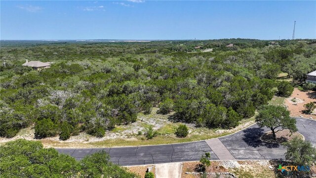 7906 Black Buck, San Antonio, TX 78266 - photo 8