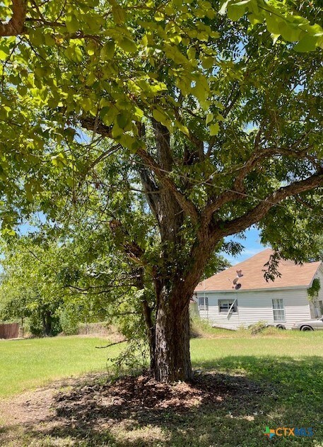 505 E 4th St, Cameron, TX 76520 - photo 5