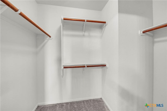 7810 Woodbury Dr, Temple, TX 76502 - spacious closet featuring carpet