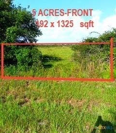 0 Francitas, Francitas, TX 77961 - photo 7