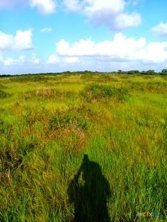 0 Francitas, Francitas, TX 77961 - photo 6