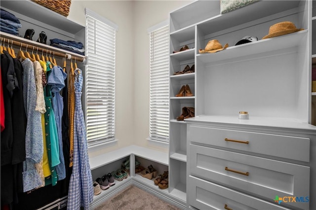 813 Reston Rd, Temple, TX 76502 - walk in closet featuring carpet flooring