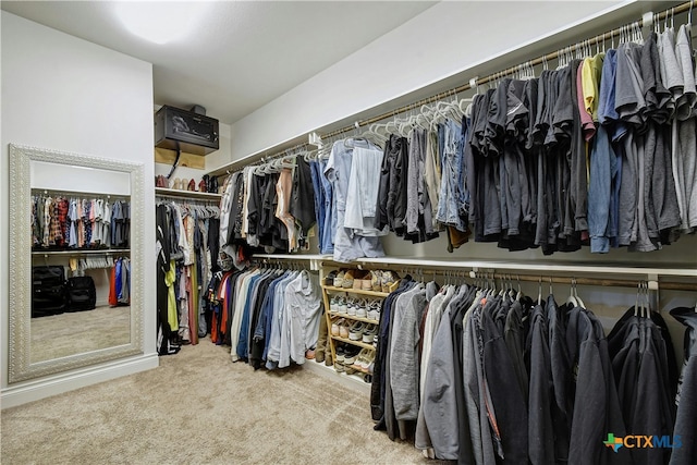 spacious closet featuring carpet floors