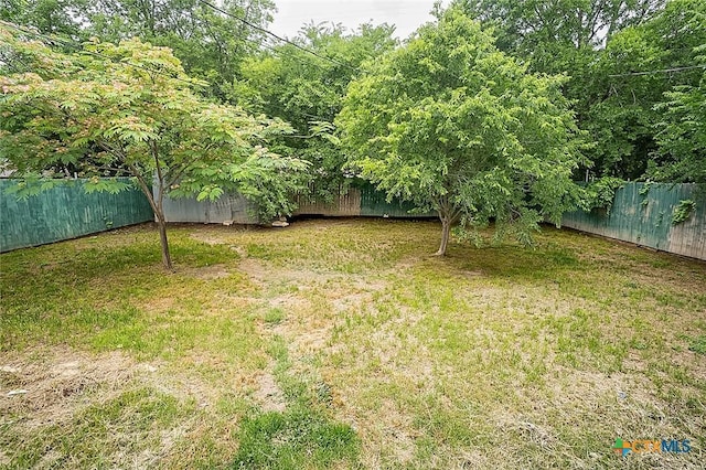 117 N 28th St, Gatesville, TX 76528 - view of yard
