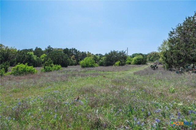 TBD Piedras Pass, San Marcos, TX 78666 - photo 7