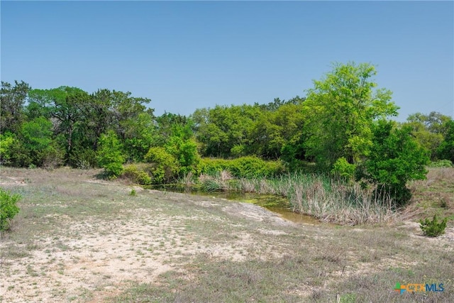 TBD Piedras Pass, San Marcos, TX 78666 - photo 5