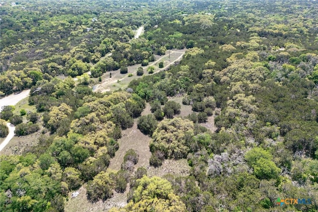 TBD Piedras Pass, San Marcos, TX 78666 - photo 9