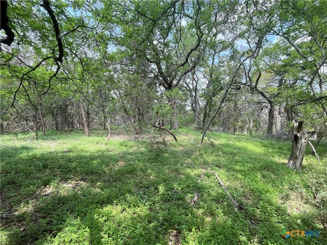 TBD Piedras Pass, San Marcos, TX 78666 - photo 3