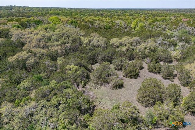 TBD Piedras Pass, San Marcos, TX 78666 - photo 12