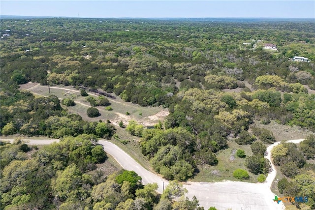 TBD Piedras Pass, San Marcos, TX 78666 - photo 8