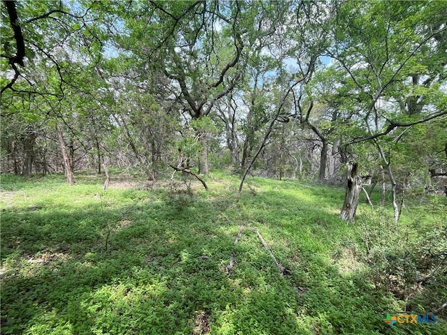 TBD Piedras Pass, San Marcos, TX 78666 - photo 4