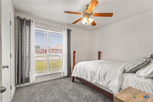 709 Aries Ave, Killeen, TX 76542 - bedroom featuring carpet, multiple windows, and a ceiling fan
