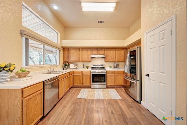 133 Ridgewood Cv, Georgetown, TX 78633 - kitchen featuring stainless steel appliances, a sink, light wood-style floors, light countertops, and a towering ceiling