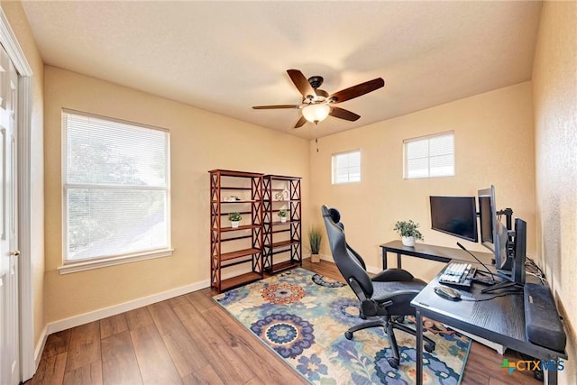133 Ridgewood Cv, Georgetown, TX 78633 - office with a ceiling fan, wood finished floors, and baseboards