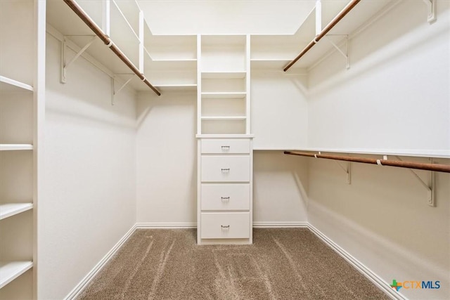 5909 Turtle Creek Trl, Temple, TX 76502 - walk in closet featuring carpet floors
