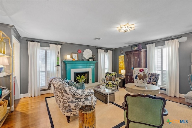 6115 Country Club Dr, Victoria, TX 77904 - living room with light wood-style flooring, ornamental molding, a fireplace, and baseboards