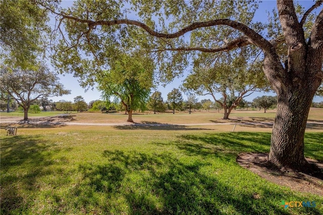 6115 Country Club Dr, Victoria, TX 77904 - view of green lawn