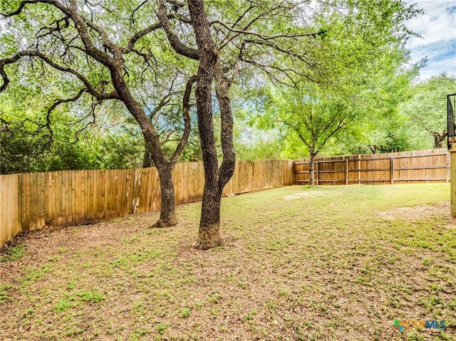 2101 Meadow View Dr, San Marcos, TX 78666 - photo 31