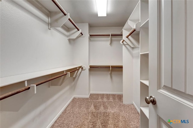 spacious closet with light carpet